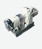 Rotary Lobe Pump