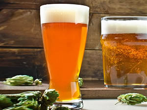 Beer and Breweries Separator